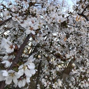 Meet your Posher, Karla